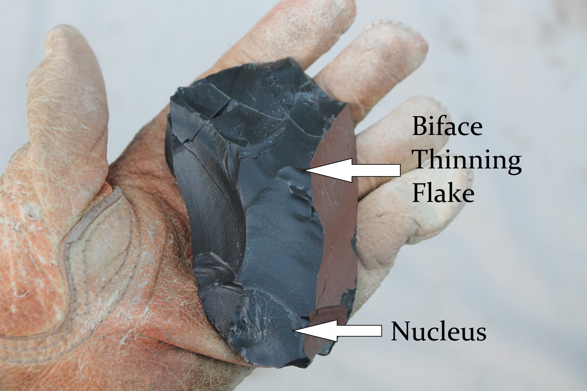 Biface thinning flake on nucleus